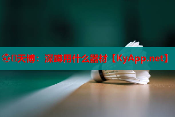 ⚽️天博:深蹲用什么器材