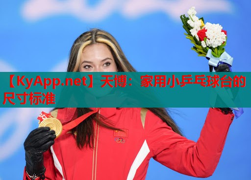 家用小乒乓球台的尺寸标准